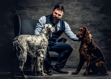 Middle-aged Hunter Dressed In Elegant Clothes Sits On A Sofa With His Two Purebred Setter Dogs. Studio Photo Against A Dark Textured Wall