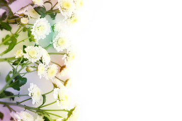 Wall Mural - Bouquets of flowers on a white background. Flowers in soft light on a white background for design. Delicate flowers in spring and summer. Blooming and floral design.