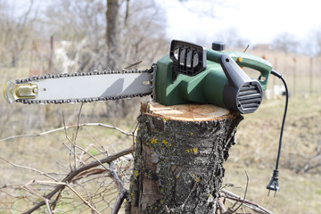 sawn electric sawing tree. The stump of saw cut branches.