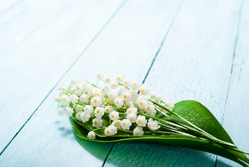 Wall Mural - lily of the valley flowers bunch on blue painted wood table background