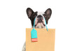 French bulldog with the shopping bag