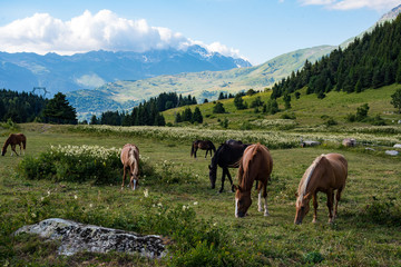 Col du Chaussy - Alpes