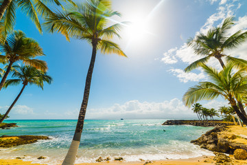 Small cove in Bas du Fort in Guadeloupe