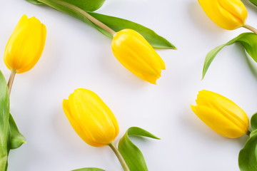 Wall Mural - Floral pattern made of yellow tulip on white background. Flowers pattern texture. Flat lay, top view.