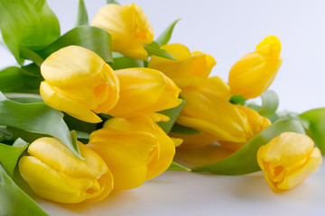 Wall Mural - Bouquet of beautiful yellow tulip flowers on white background. Greeting card. Copy space.