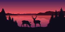 Two Reindeers By The Lake Beautiful Red Landscape Vector Illustration EPS10