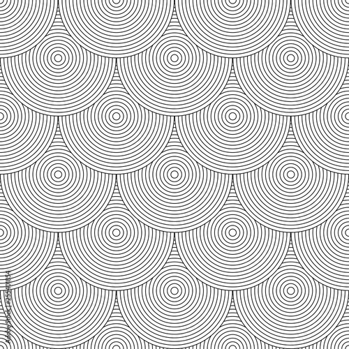 Seamless pattern. Fish scale motif.  Circle lines texture.