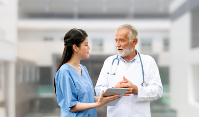 Wall Mural - Senior doctor working with young doctor in the hospital. Medical healthcare staff and doctor service.