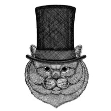 Wild Animal Wearing Top Hat, Cylinder. Hipster Cat