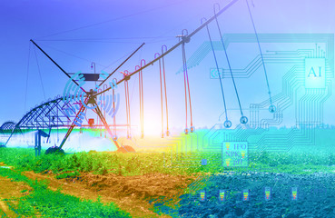 The artificial irrigation system of the future determines the degree of irrigation and leaching of fertilizers from the soil and plant growth.