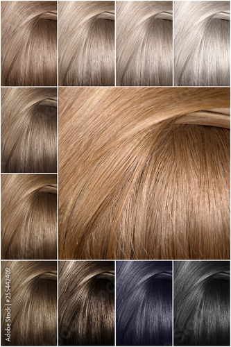 Color Table For Shades Hair Color Palette With A Wide Range Of