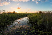 Landscape View Of Everglades National Park During The Sunset (Florida).