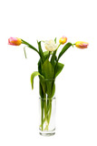 Fototapeta Tulipany - Bouquet of yellow, pink and white tulips on white background. Vase with tulips