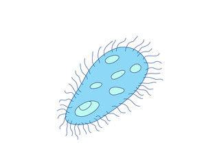 Wall Mural - Simple drawing of an amoeba, a single cell organism, vector illustration.