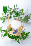 Fototapeta Storczyk - wicker Basket with Easter egg in a hat and green grass branch on white pastel background. Creative . Art food concept.