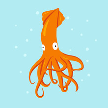 Squid Flat Character Isolated On Cayn Background.