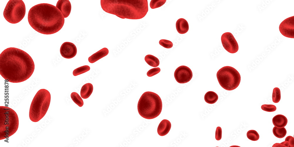 Red Blood Cells Flowing Stock Illustration | Adobe Stock