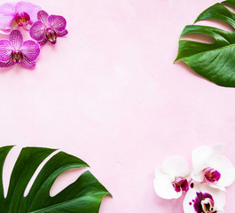 Tropical leaves monstera and orchid flowers