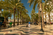 Pedestrians In The Busy Esplanade Of Spain, In Alicante