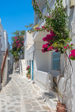 Fototapeta Uliczki - View of a typical narrow street in old town of Naoussa, Paros island, Cyclades