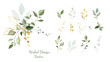 Twigs with gold and green leaves. Set: leaves, herbs, composition of gold and decorative elements.  Vector.