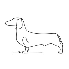 Wall Mural - Drawing a continuous line. Dachshund on white isolated background