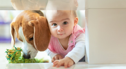 Little baby girl with her dog crawl into tight space under coffee table