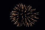 Fototapeta Dmuchawce - fireworks in the sky during fourth of July celebration
