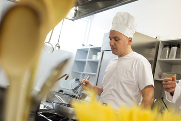 Portrait of chef preparing delicious meal in professional kitchen