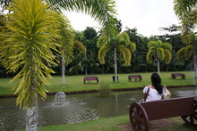 Woman Sitting On A Bench Near Bacolod City, Philippines