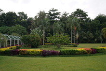 View Of A Park Near Bacolod City, Philippines