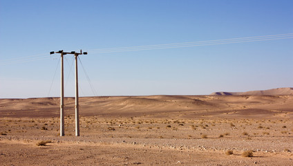 Electric power poles in desert of Jordan. High voltage powerlines. Early morning in wilderness after sunrise.