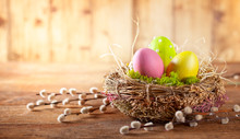 Easter Composition With Easter Eggs In Nest And Branches Of Pussy Willows.
