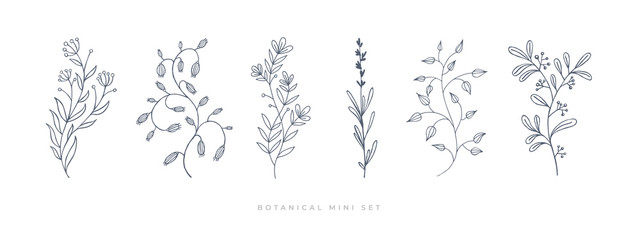 set hand drawn curly grass and flowers on white isolated background. botanical illustration. decorat