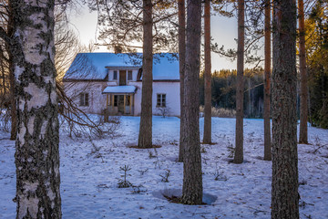 Poster - Wooden house in winter forest