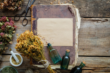Wall Mural - Old vintage book, tincture bottles, assortment of bunches of dry medicinal herbs, mortar. Herbal medicine. Top view.