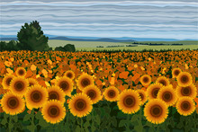 Bright Field Of Sunflowers With Bushes, Trees And Blue Sky Vector Illustration