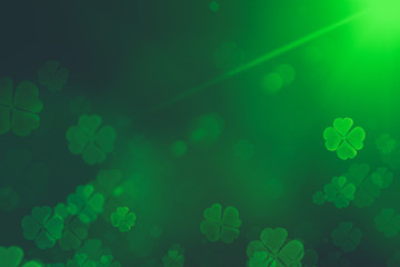 St. Patrick's Day green Shamrock Leaves background. Patrick's Day backdrop with growing clover leaf extreme close-up. Patrick Day pub party background