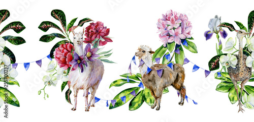 Watercolor seamless pattern of  cartoon alpaca, cute llama and ostrich with o...