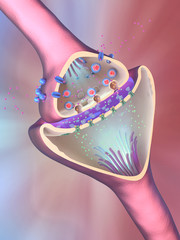 Wall Mural - 3d illustration of the scientific function of a synapse or neuronal connection with a nerve cell