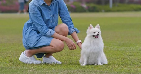 Poster - Woman play with her dog at green lawn