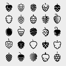 Hop Set. Collection Icon Hops. Vector