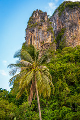 Wall Mural - Famous Phatthalung rock