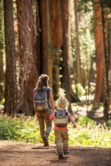 Poster - Family with boy visit Sequoia national park in California, USA