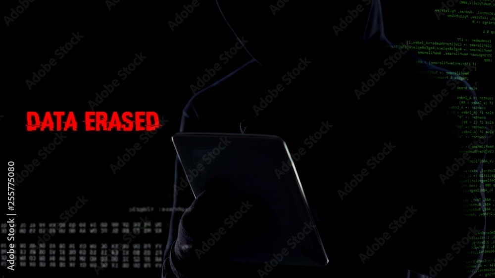 Faceless hacker cracking password and erasing all files database using ...