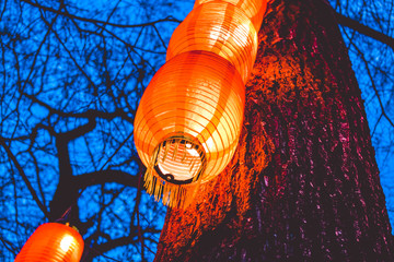 Wall Mural - Tapes on trees in the park from the Chinese orange small lamps. The lit street at night. Lighting.