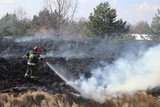 Fototapeta Tęcza - Pożar łąki,. wypalanie traw, straż pożarna w akcji