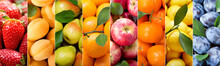 Fruit Collage Of Various Types Fruits