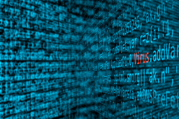 virus in computer program code.