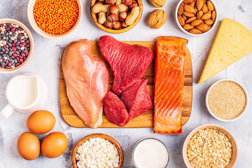 Poster - Sources of healthy protein - meat, fish, dairy products.